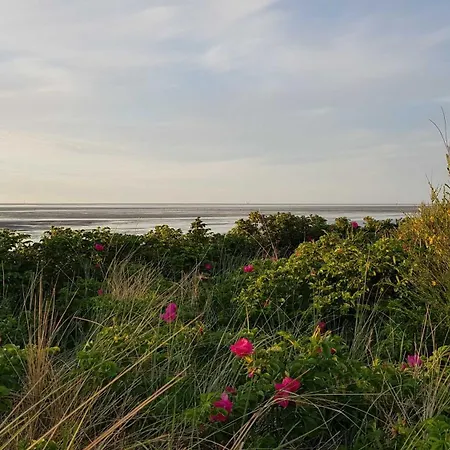 Apartament Residenz Knechtsand 2