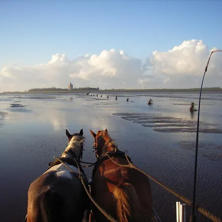 Apartament Residenz Knechtsand 2 *